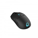 QPAD Gamingmus DX900 QPAD Gamingmus DX900