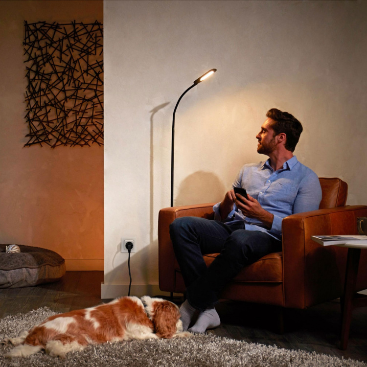 Philips Hue Smart plug