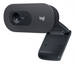 LOGITECH C505 Web camera, colour, 720p, fixed focal, audio, USB