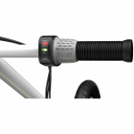 Razor EcoSmart SUP El-Scooter 350W