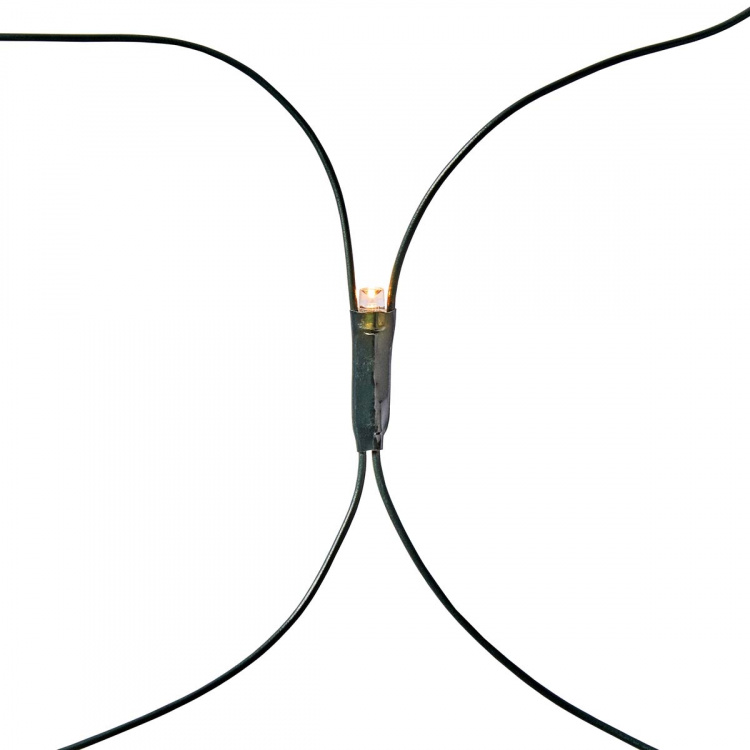 Nedis Dekorativa Nätljus | Varm Vit | 160 LED\'s | 2 x 1 m | Ljuseffekter: 7 | Inomhus eller Utomhus | Strömadapter