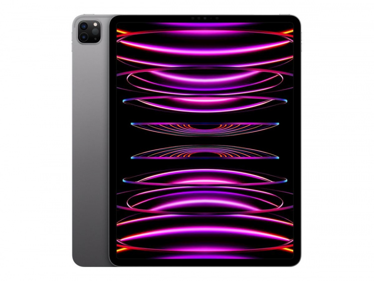 Apple 12.9-inch iPad Pro Wi-Fi 256GB - Space Grey