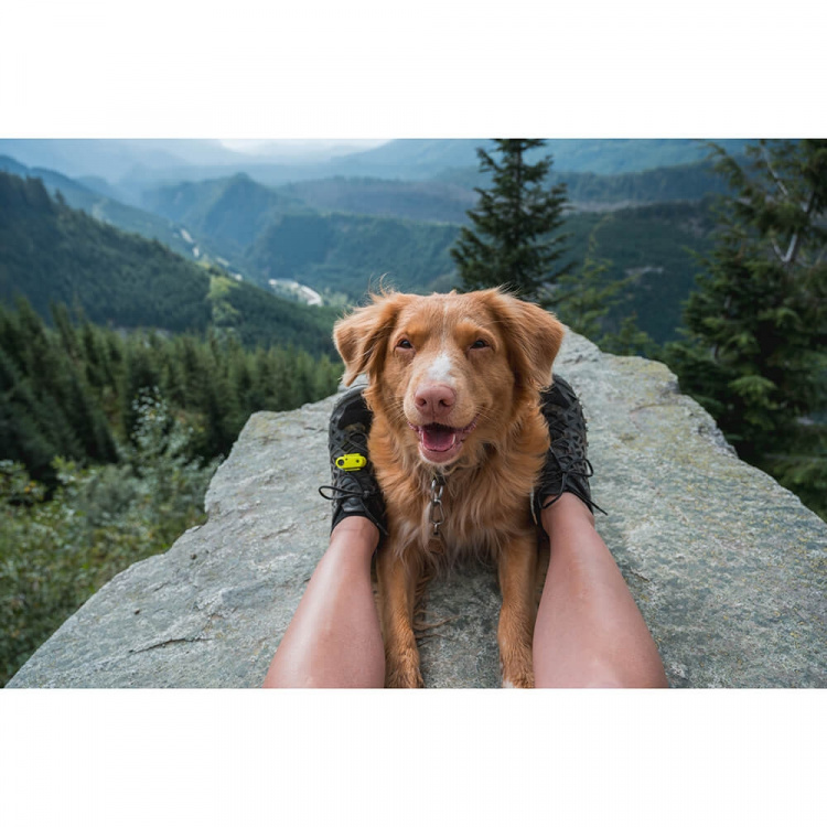 TICKLESS Fästingskydd Aktiv Grön