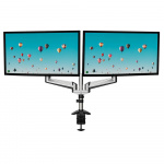 Desire2 Monitor Arm Duo Aluminium Gas