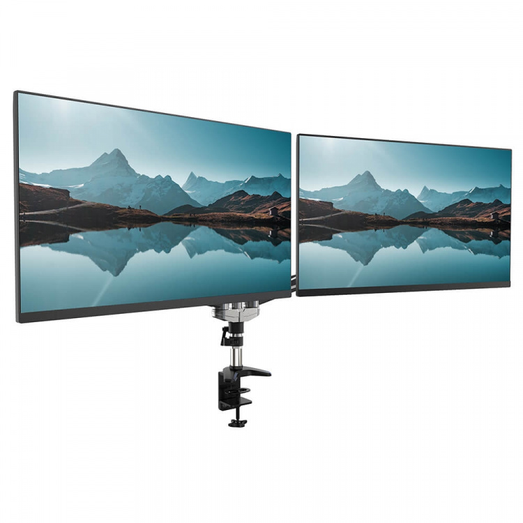 Desire2 Monitor Arm Duo Aluminium Gas