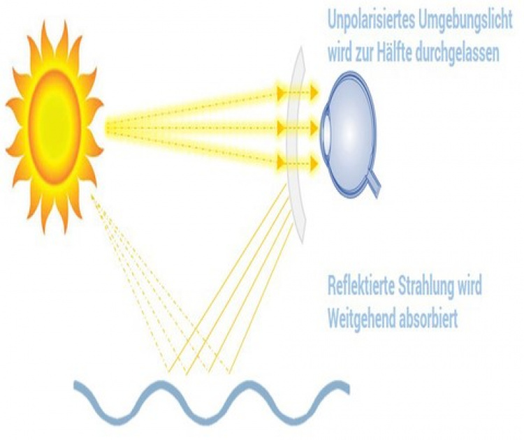Urbanium Terra Polarizing Bifocal Plus 3,0