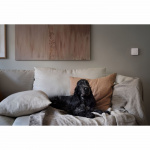 nexa MWST-1812 Väggsändare 2-kanaler