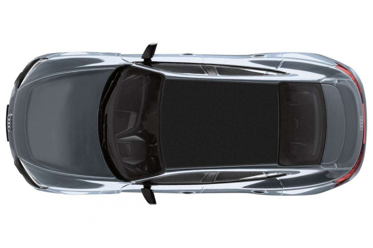 Revell RC Scale Car Audi e-tron GT