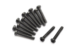BLACKZON Pan head Self Tapping Screws PBHO2*12mm
