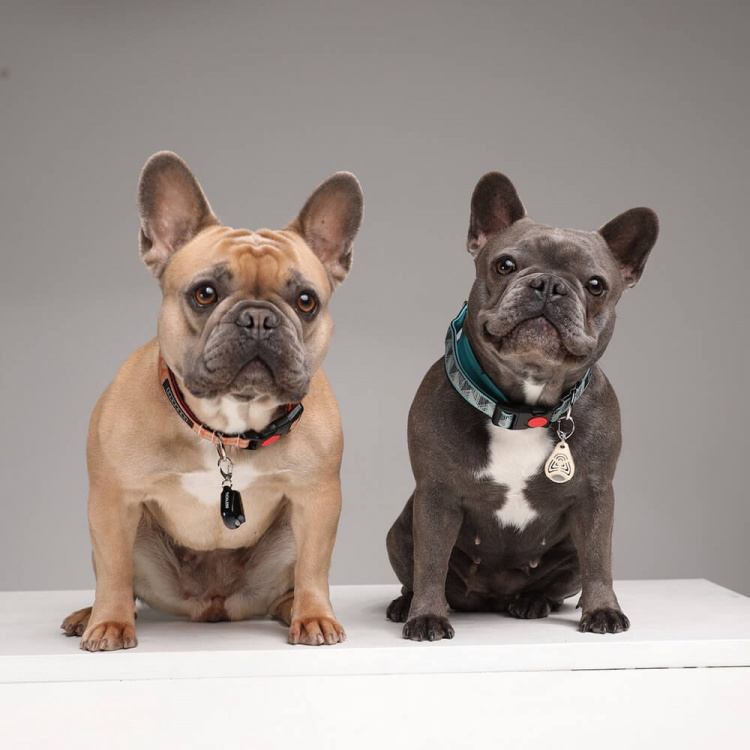 TICKLESS Fästingskydd Pet Beige TICKLESS Fästingskydd Pet Beige