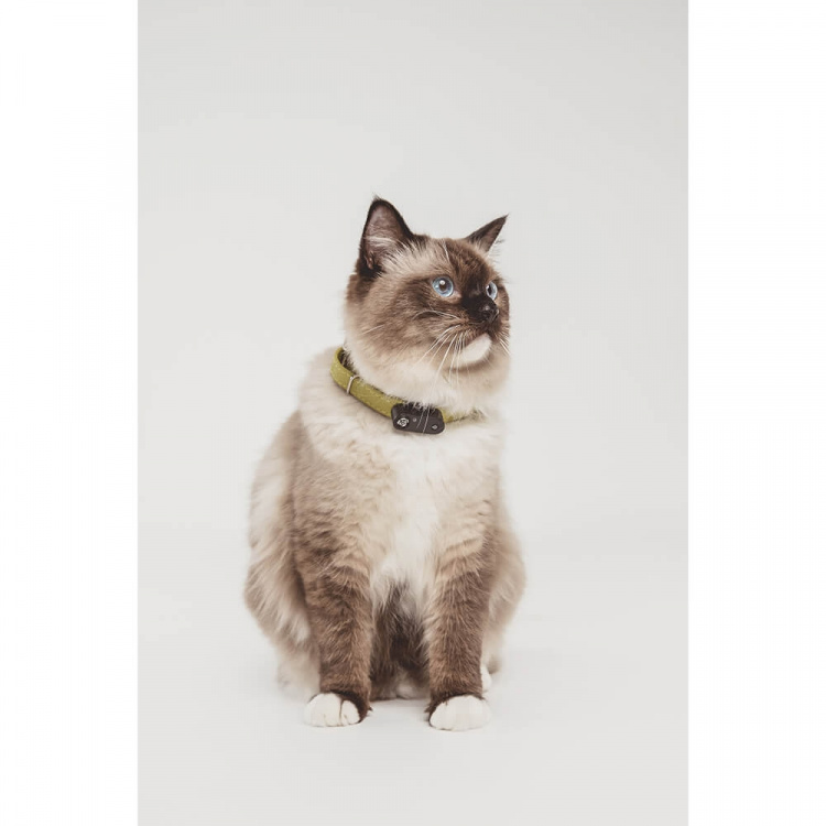 TICKLESS Fästingskydd Mini Katt TICKLESS Fästingskydd Mini Katt