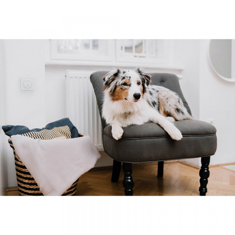 TICKLESS Kvalsterskydd Home Grå