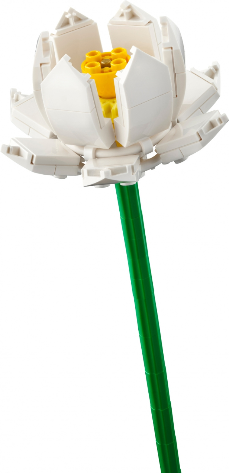 LEGO Botanical 40647 - Lotusblommor