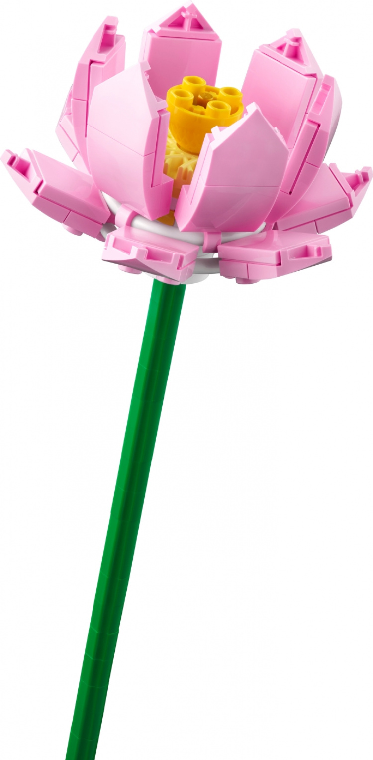 LEGO Botanical 40647 - Lotusblommor