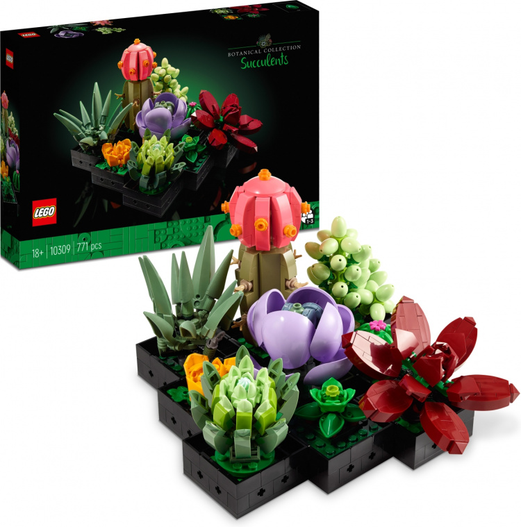 LEGO Botanical 10309 - Suckulenter