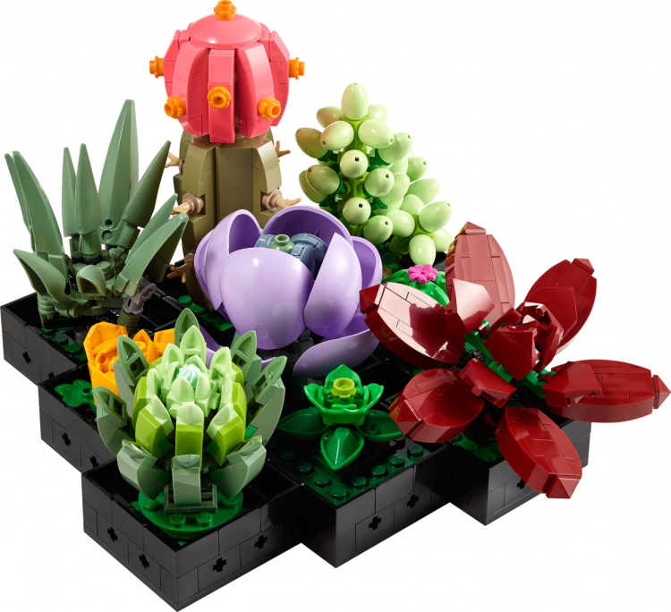 LEGO Botanical 10309 - Suckulenter