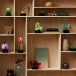 LEGO Botanical 10309 - Suckulenter