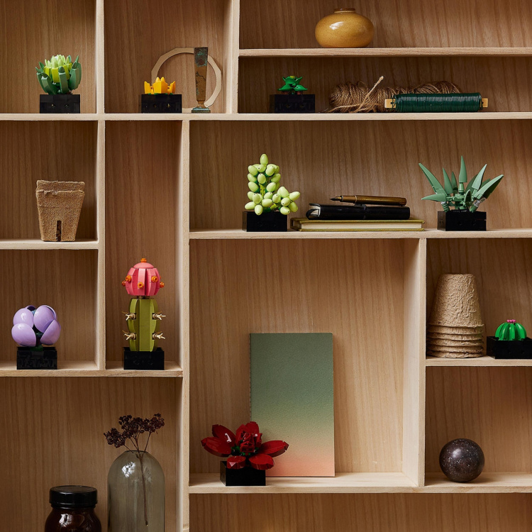 LEGO Botanical 10309 - Suckulenter