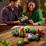 LEGO Botanical 10309 - Suckulenter
