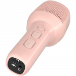 Celly Kidsfestival2 Mokrofon Rosa Celly Kidsfestival2 Mokrofon Rosa