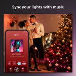 Philips Hue Festavia ljusslinga Inom-/utomhus 250 LED 20m