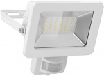 Goobay LED-strålkastare för utomhusbruk, 30 W, med rörelsedetektor med 2550 lm, neutralt vitt ljus (4000 K), PIR-sensor med ON/OFF-funktion och M16 kabelgenomföring, lämplig för utomhusbruk (IP44)