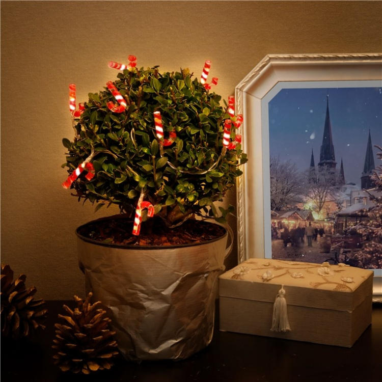 Goobay 10 LED-lampor Polkakäppar med timerfunktion, varmvit (3000 K), batteridriven Goobay 10 LED-lampor Polkakäppar med timerfunktion, varmvit (3000 K), batteridriven