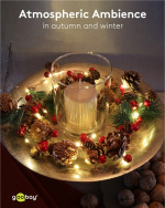 Goobay 20 LED ljusslinga med silvertråd  Goobay 20 LED ljusslinga med silvertråd