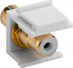 Goobay Keystone-modul RCA 2x cinchuttaget, vit, Guldpläterad