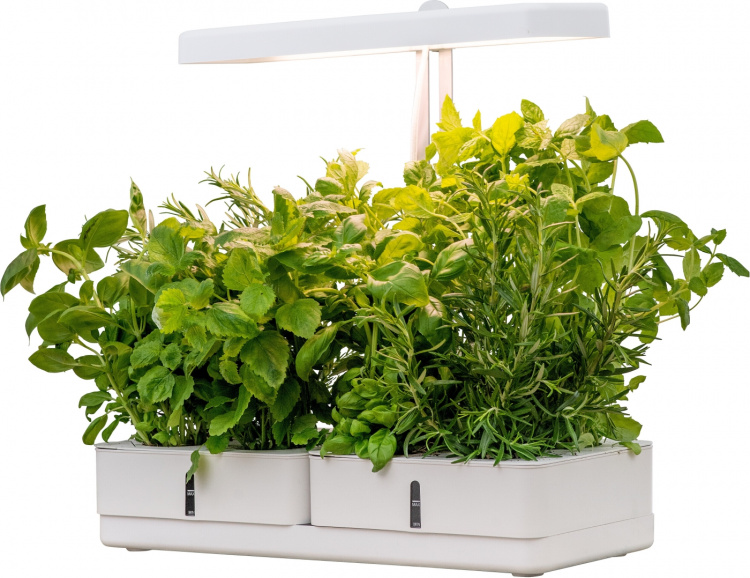 Airam Daisy växtlampa, 20W/835, 1450 lm