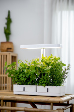 Airam Daisy växtlampa, 20W/835, 1450 lm