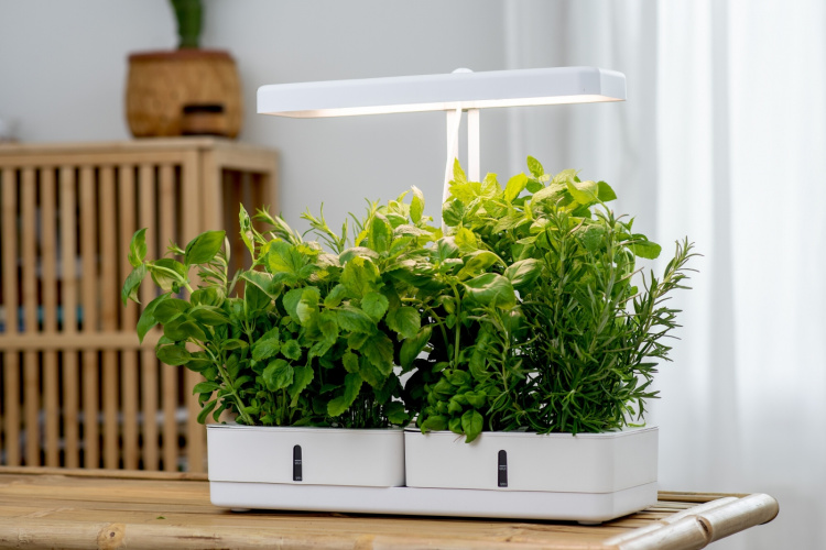 Airam Daisy växtlampa, 20W/835, 1450 lm