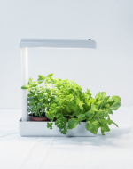 Airam Herby växtlampa, 10W/840, 650 lm