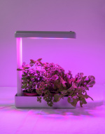 Airam Herby växtlampa, 10W/840, 650 lm