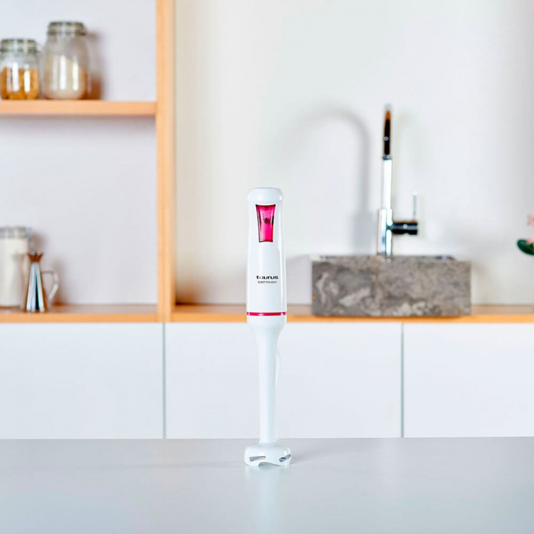 Taurus Stavmixer Robot 750 Easy