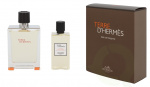 Hermes Terre D\'Hermes Giftset 180 ml Edt Spray 100ml/Hair & Body Shower Gel 80ml