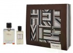Hermes Terre D\'Hermes Giftset 90 ml Edt Spray 50ml/Shower Gel 40ml