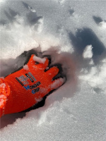 Wonder Grip WG-380 Byggarbetsplats, Jordbruk, Avfallsindustri, Kyltransporter, Vintertjänster, Size: M/8