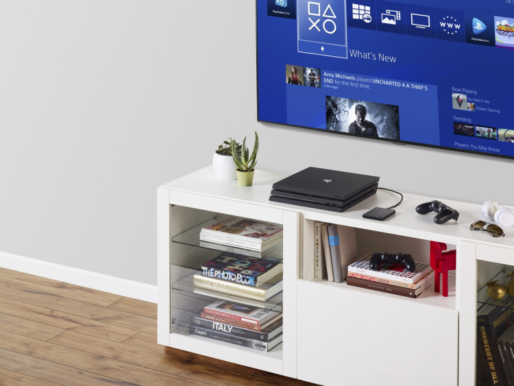 Seagate Game Drive for Playstation 4, 2TB