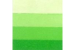 LB Charbonnel Intaglio Etching Ink 200Ml Spring Green 544 LB Charbonnel Intaglio Etching Ink 200Ml Spring Green 544