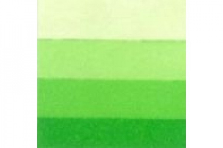 LB Charbonnel Intaglio Etching Ink 200Ml Spring Green 544 LB Charbonnel Intaglio Etching Ink 200Ml Spring Green 544