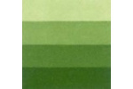 LB Charbonnel Intaglio Etching Ink 200Ml Medium Green 561 LB Charbonnel Intaglio Etching Ink 200Ml Medium Green 561