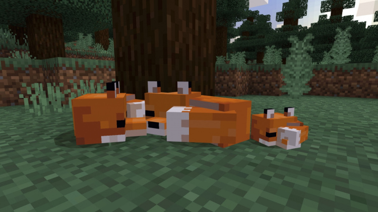 Minecraft - Starter Edition (PS4) Minecraft - Starter Edition (PS4)