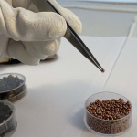 Piergiacomi Pincett med starka spetsar och tunna blad