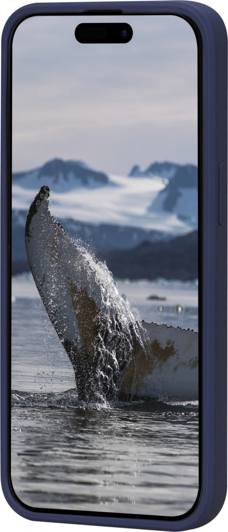 Dbramante1928 Greenland-skyddsfodral, iPhone 15, blå  Dbramante1928 Greenland-skyddsfodral, iPhone 15, blå