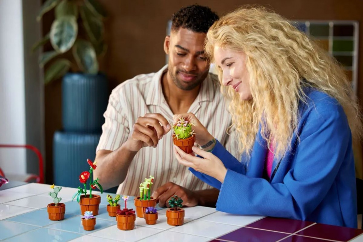 LEGO Botanical 10329 - Små växter