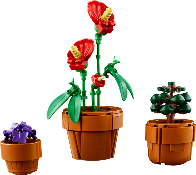LEGO Botanical 10329 - Små växter
