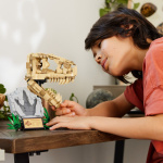 LEGO Jurassic World 76964 - Dinosaur Fossils: T. rex Skull