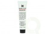 Kiehls Kiehl\'s Lip Balm #1 carton @ 1 tube x 15 ml No Colour