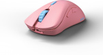Glorious Model D Pro Wireless Flamingo gaming mus, rosa/blå